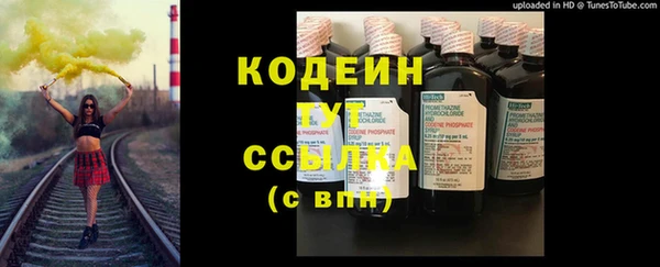 прущий лед Вяземский