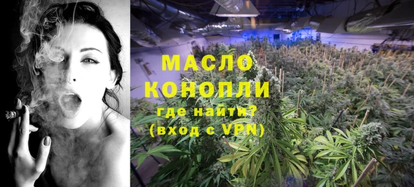 прущий лед Вяземский
