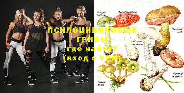 прущий лед Вяземский