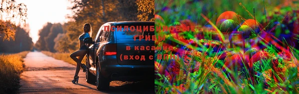 спиды Вязьма