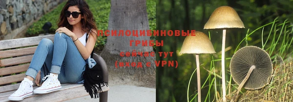 спиды Вязьма