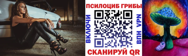 Купить закладки  Кодинск  Галлюциногенные грибы мицелий 